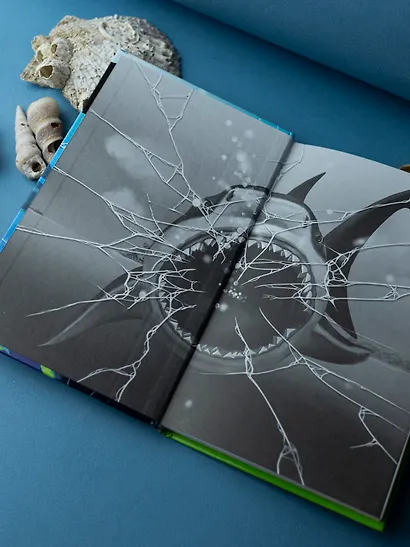 Ночь акул - фото 9