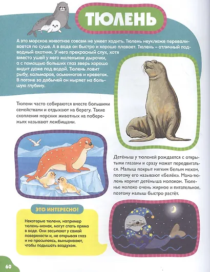 Животные для самых маленьких - фото 3