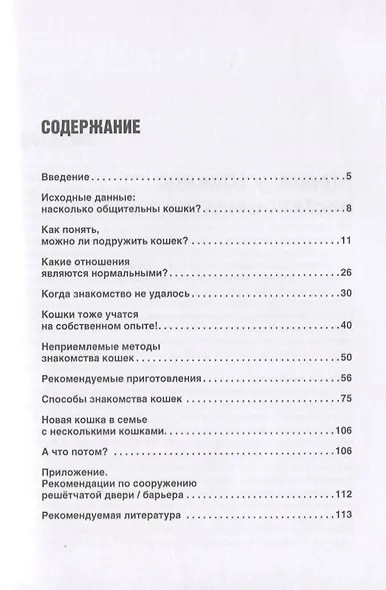 Дружная семья. Как подружить кошек с любовью и пониманием? - фото 2