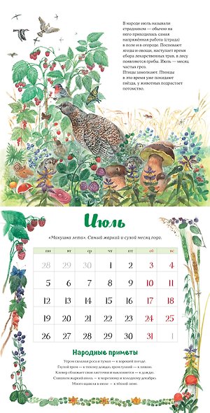 Календарь 2027г 290*290 "Календарь родной природы (ил. М. Белоусовой)" настенный, на скрепке - фото 4