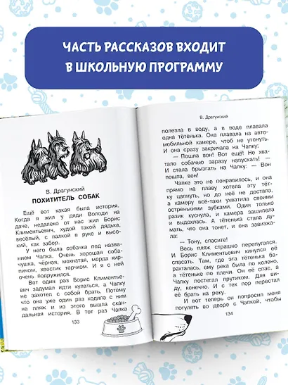 Большая собачья книга - фото 5