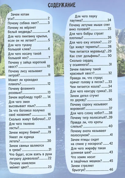 ЗАЧЕМ КОТАМ УСЫ? мат.ламин.обл, выбор.лак, мелов.бум. 215х290 - фото 2