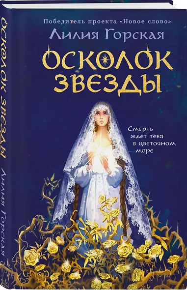 Осколок звезды - фото 3