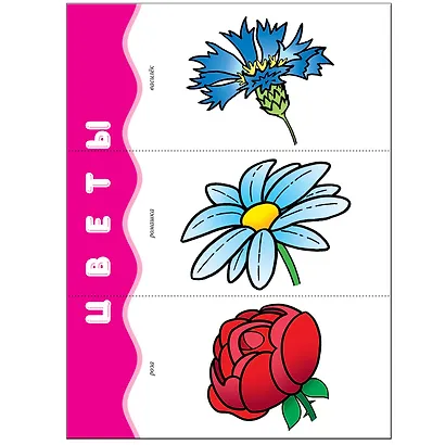 Мой первый словарик. Для занятий с детьми от 1 до 2 лет - фото 3