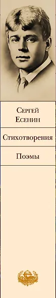 Стихотворения. Поэмы - фото 7