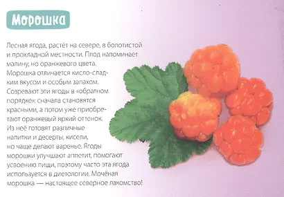 Обучающая книга «Полезные ягоды» - фото 3