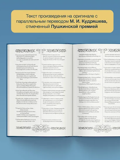 Песнь о Нибелунгах = Das Nibelungenlied - фото 5