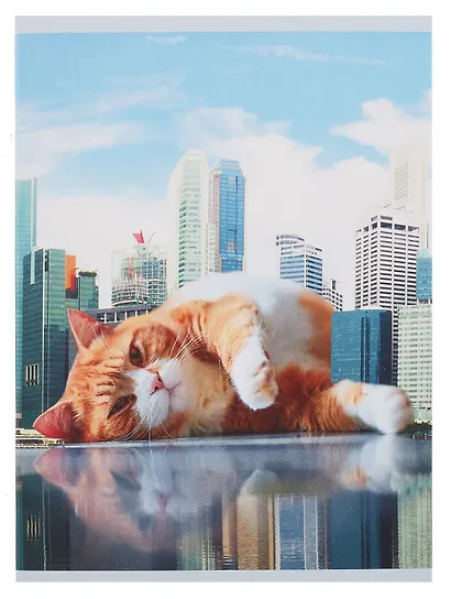 Тетрадь А4 48л кл. "Большой кот" скрепка, мел.картон, выб.лак - фото 1