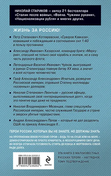 Русские не сдаются: жизнь за Россию - фото 2