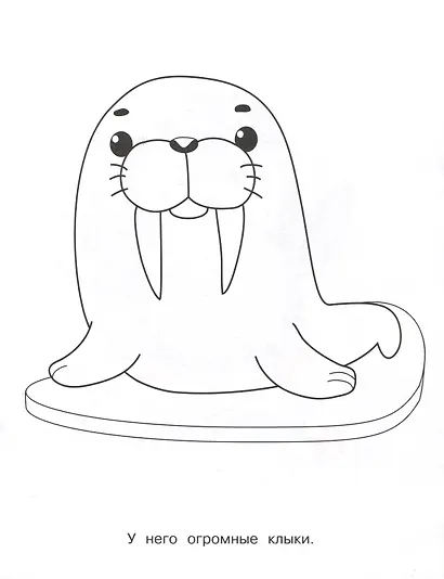 Я люблю рисовать. 3-5 лет. Животные Северного и Южного полюсов - фото 4