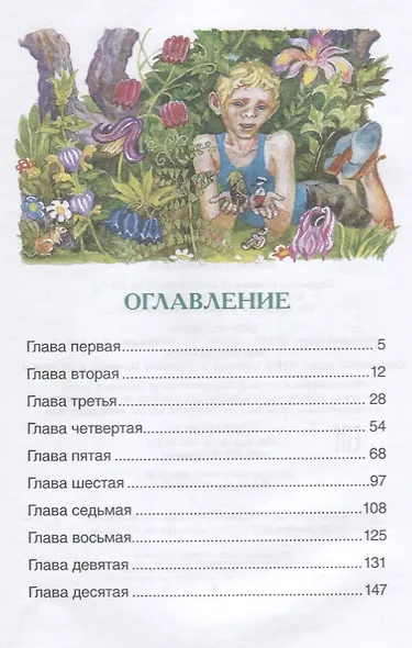 Оруженосец Кашка - фото 6