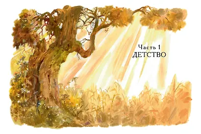 Жизнь и приключения Санта-Клауса. Илл. В. Челака - фото 8