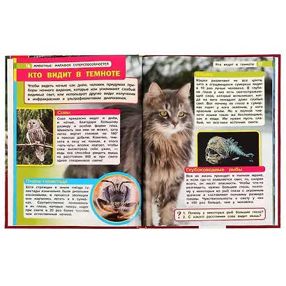 Животные: марафон суперспособностей - фото 3