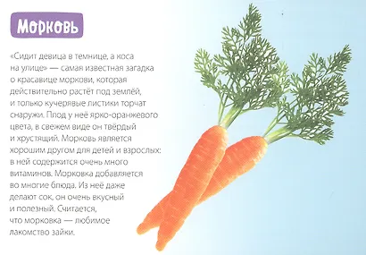 Обучающая книга «Овощи» - фото 2