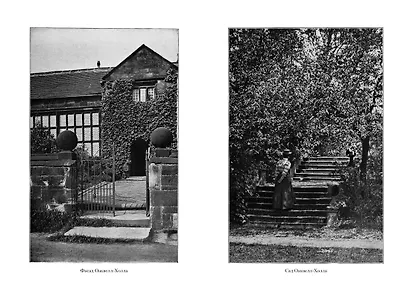 Шерли. Городок: романы - фото 12