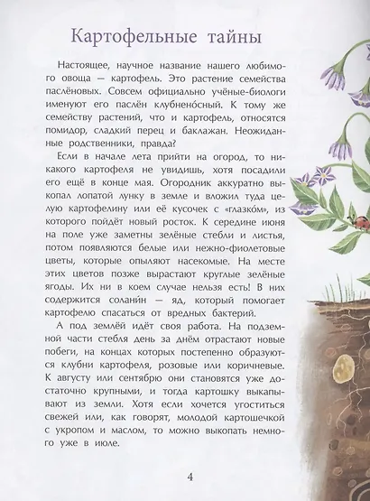 Картошка. Машина времени на грядке - фото 3