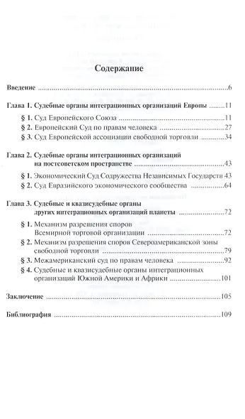 Интеграционное правосудие: сущность и перспективы - фото 2