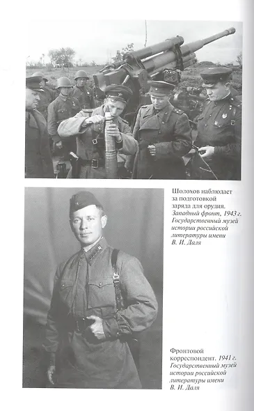 Шолохов. Незаконный - фото 3