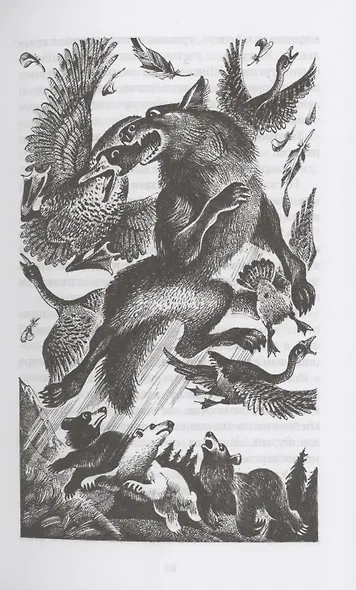 Последняя глушь - фото 6