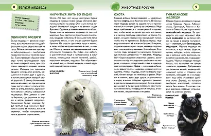 Животные - фото 4