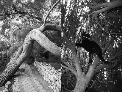 Света нет - фото 2