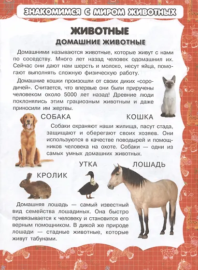 Животные - фото 2