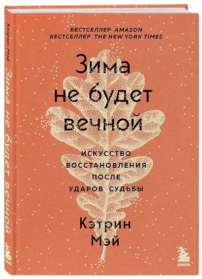 Зима не будет вечной. Искусство восстановления после ударов судьбы - фото 3