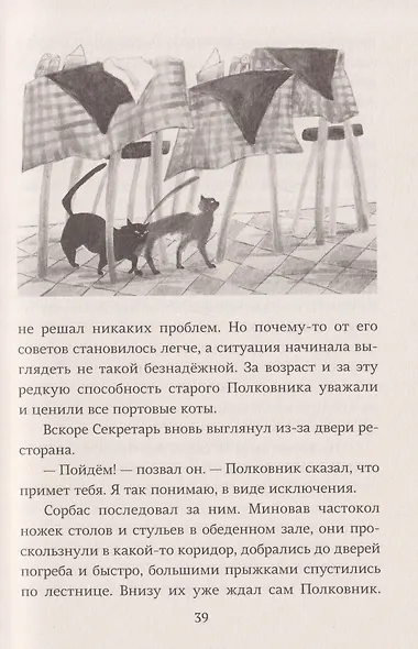 Про котов, чаек, улиток и людей - фото 5
