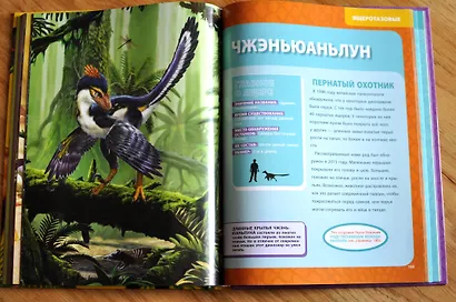 Большая энциклопедия динозавров - фото 7