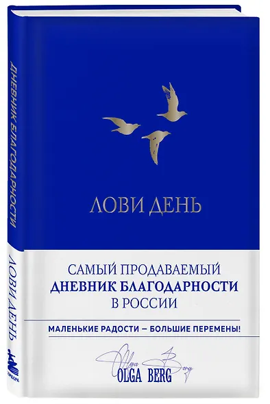 Лови день. Дневник благодарности (подарочное оформление с золотой фольгой) - фото 3