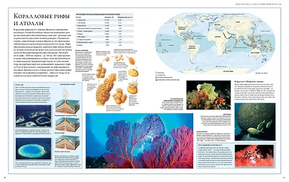 Океаны. Иллюстрированный атлас - фото 8