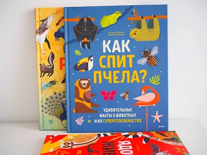 Как спит пчела? Удивительные факты о животных и их суперспособностях - фото 9