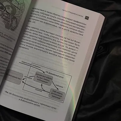 Будда прав, а Фрейд — нет. Современная нейрофизиология и древние психотехники для победы над депрессией, тревогой и эмоциональным выгоранием - фото 9