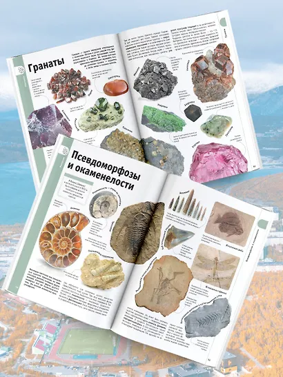 Минералы и драгоценные камни - фото 4