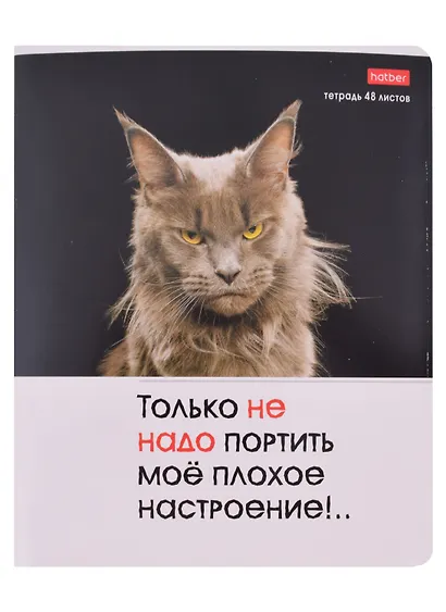 Тетрадь общая «Котоюмор» в ассортименте, 48 листов в клетку, A5 - Hatber - фото 5