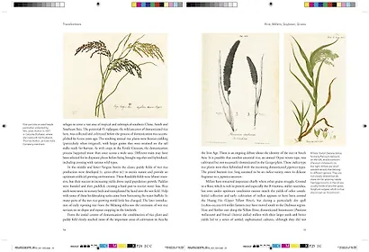 Remarkable plants - фото 5