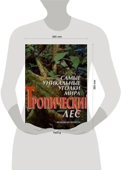 Самые уникальные уголки мира. Тропический лес - фото 2