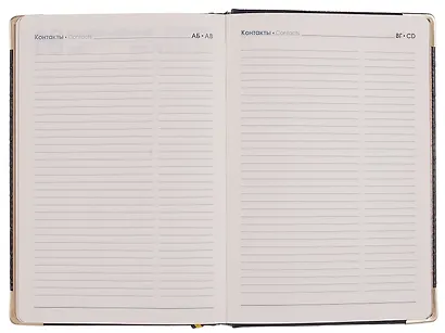 Ежедневник дат. 2026г. А5 176л "Business Premium. Impact" темно-коричневый, 7Б, иск.кожа, обл.поролон, тв.переплет, мет.уголки, тонир.блок, зол.торец, справ.мат-лы, 2 ляссе, инд.уп - фото 7