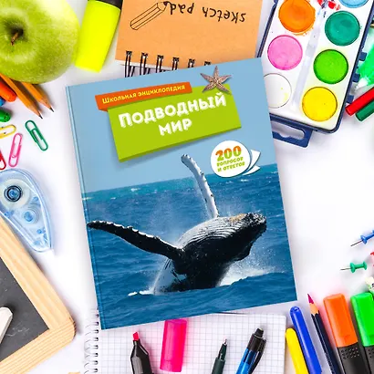 Подводный мир - фото 9