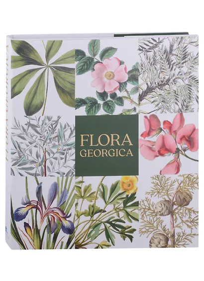 Flora Georgica. Гербарий на фарфоре - фото 2