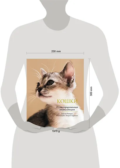 Кошки. Иллюстрированная энциклопедия - фото 3