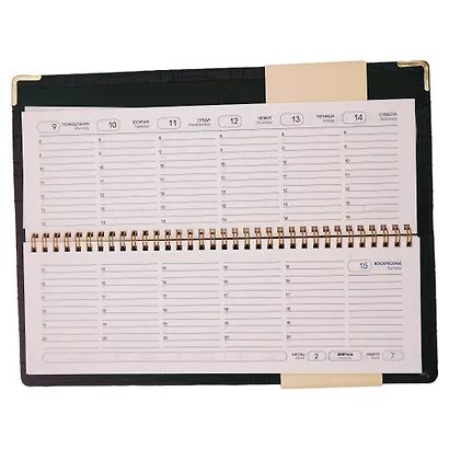 Планинг дат. 2026г. 56л "Business Premium. Lizard" бордо, 7Б, тв.переплет, настольный, иск.кожа, обл.поролон, евроспираль, съемный тонир.блок, мет.уголки, инд.уп - фото 4