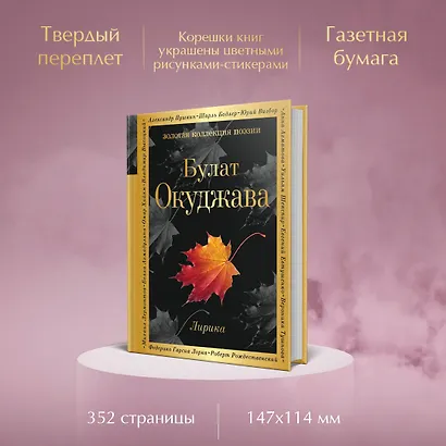 Лирика - фото 5