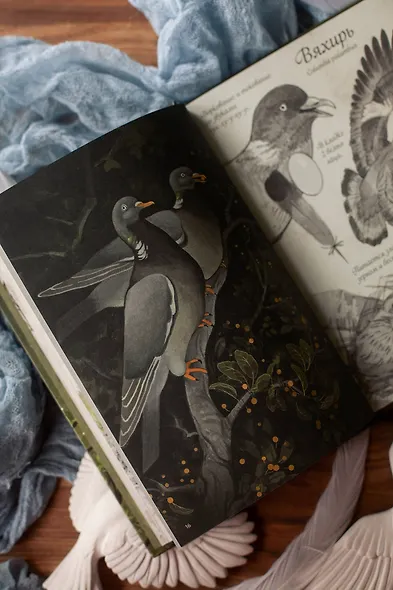 Птицы леса. Артбук - фото 10
