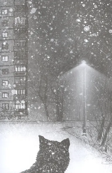 Долгая дорога домой - фото 3