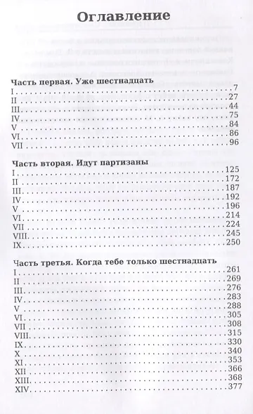 Партизаны. Сыновья уходят в бой - фото 2