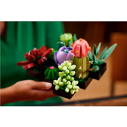 LEGO Botanical Collection: Суккуленты, 771 деталь (10309) - фото 5