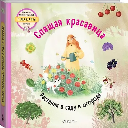 Спящая красавица - фото 3