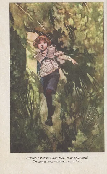 Таинственный сад - фото 4