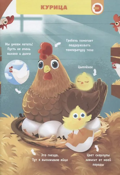 О чем думают животные? - фото 5